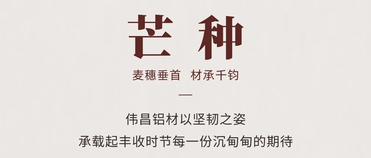 芒种 | 麦穗垂首  材承千钧